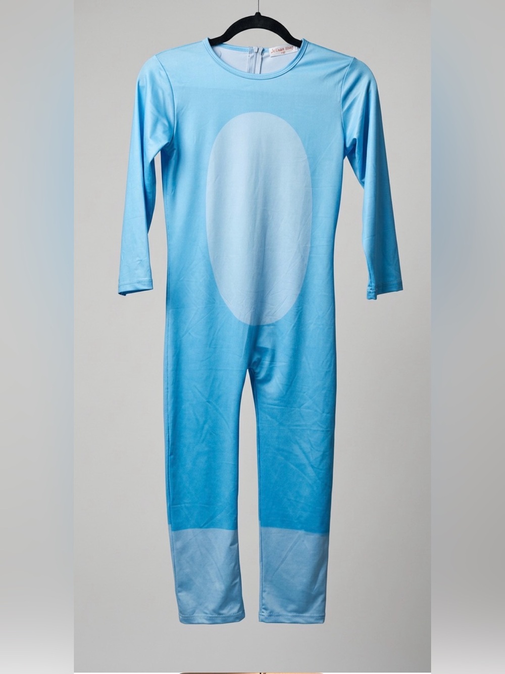 Bluey Size 10 Unisex Two-Piece Halloween Costume